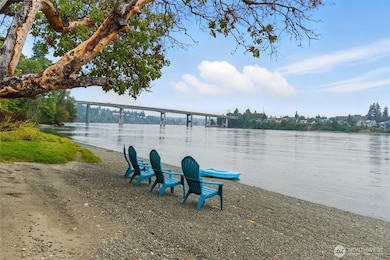 Sandy under the madrona tree