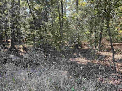 Lot 69 King Lake Dr, Scroggins, TX 75480 - photo 2