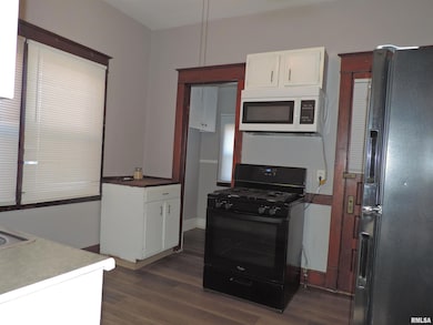 229 14th Ave, Moline, IL 61265 - photo 6