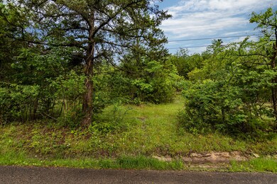 Lot 13 N Wilderness Trail, Kimberling City, MO 65686 - photo 3