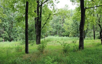 Additional View