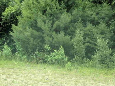 0 Goddard unit 2 4764651, Groton, NH 03241 - photo 2