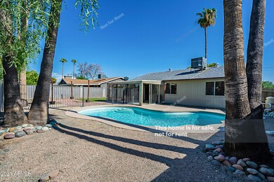 2204 W Bentrup St, Chandler, AZ 85224 - photo 5