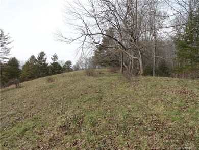 000 Possum Trot Rd, Burnsville, NC 28714 - photo 4