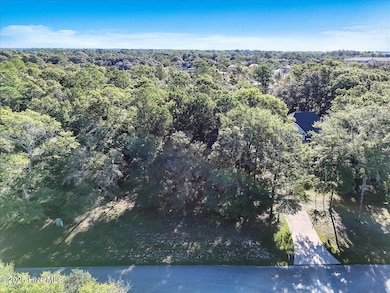 3349 Stone Crab SW, Supply, NC 28462 - photo 3