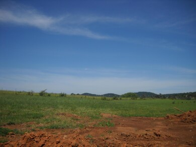 Beautiful View From Back