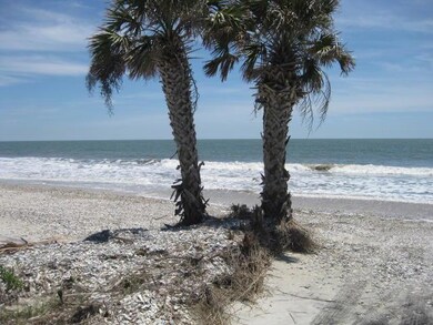 4 Sharks Tooth (5)