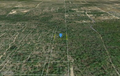 0 E Hwy 20 unit 781804, Youngstown, FL 32466 - photo 5