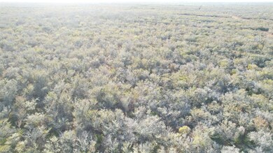 0 Fm 716 unit 20255318, Realtitos, TX 78376 - photo 7