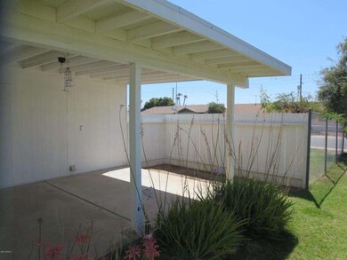 Back patio 2
