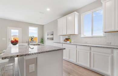 1621 Prosper Ln, Anna, TX 75409 - photo 4