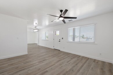 7-web-or-mls-D50A3682
