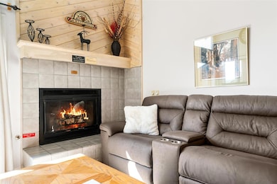 4749 S Pleasantview Rd unit 64, Harbor Springs, MI 49740 - photo 2