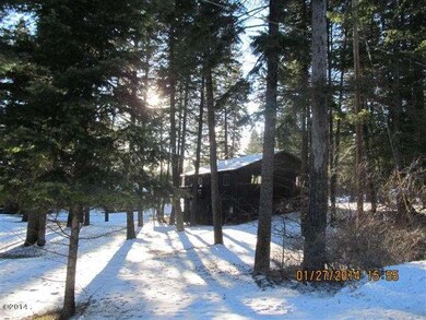Back yard 1