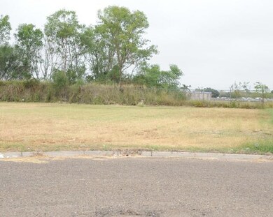 710 Marissa Dr, Alamo, TX 78516 - photo 4