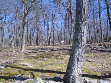 Lot 297 Mockingbird Ct, Lehman Township, PA 18324 - photo 6