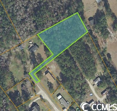 TBD Silver Moon Ct unit 1.22+/- Acres, Conway, SC 29526 - photo 4