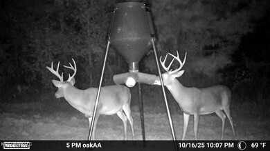 0 County Road 4210, Sallis, MS 39160 - photo 7