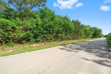 00 Rebel Rd, Cleveland, TX 77327 - photo 3