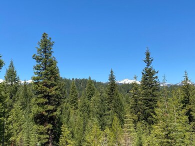 Lot 15 Saddle Rock Way unit 15, Cascade, ID 83611 - photo 7