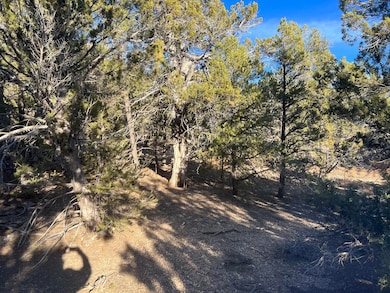 Wooded Lot
