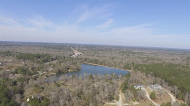 6203 S Trace Dr, Magnolia, TX 77354 - photo 6