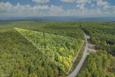 0 Spokelay Rd unit RTC2812627, Spencer, TN 38585 - photo 2