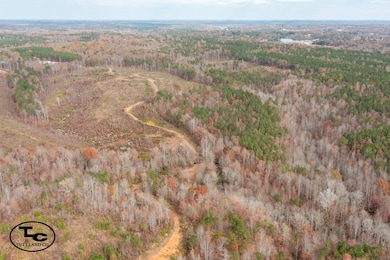 0 Steele Rd, Jasper, AL 35503 - photo 6