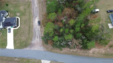 9700 N Langdon Rd, Citrus Springs, FL 34434 - photo 3