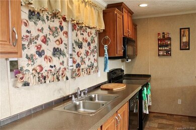 60 Green Acres Dr, Leicester, NC 28748 - photo 7