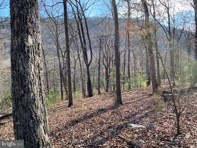 26851 Wv-55, Wardensville, WV 26851 - photo 5