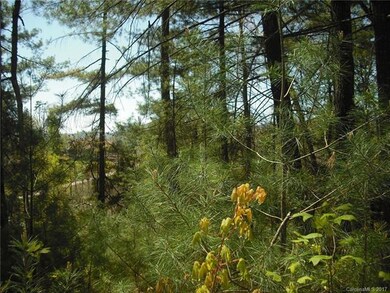 5 Hunting Ridge unit LOT 11, Leicester, NC 28748 - photo 2