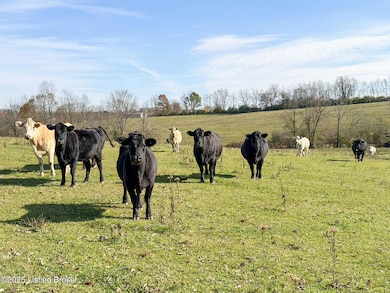 Some of the Neighbors