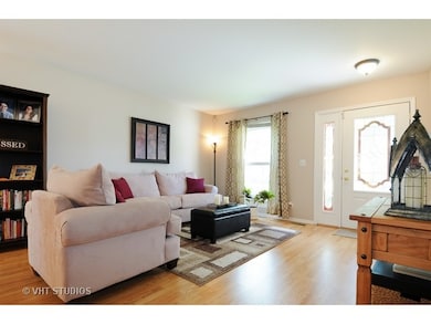 1327 Canyon Run Rd, Naperville, IL 60565 - photo 6