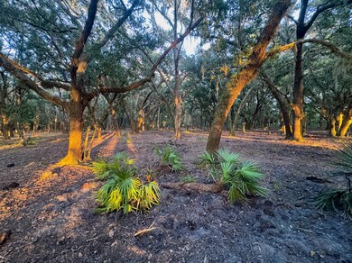 10193 Highway 60, Lake Wales, FL 33898 - photo 7