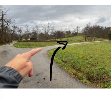 Tract # 6 Long Lick Ln unit 6, MacKville, KY 40040 - photo 7