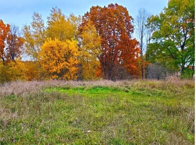 Screenshot 2025-03-11 111750