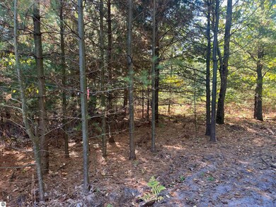 4735 Leaning Birch Dr unit 1, Traverse City, MI 49685 - photo 6