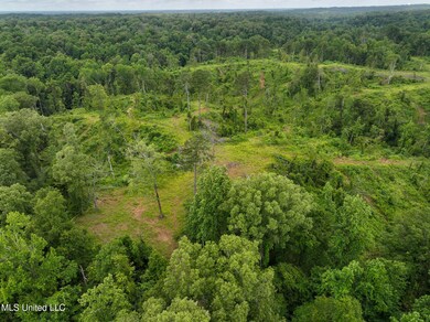 DJI_20250529105558_0002_D