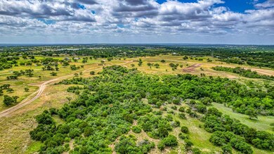 417 Pommel Ct, Weatherford, TX 76088 - photo 6