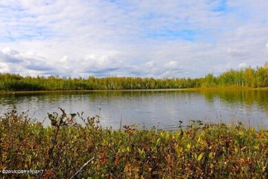 13923 Big Lake Rd, Wasilla, AK 99652 - photo 2