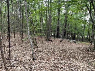 0 Conway Rd unit 4884471, Madison, NH 03849 - photo 3