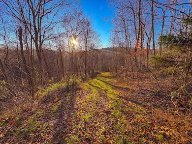 0 Oak Grove Rd, Waverly, WV 26184 - photo 7