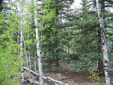 Land/Lot.