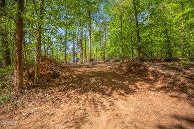 Tbd Dunville Gap Rd, Rutledge, TN 37861 - photo 2