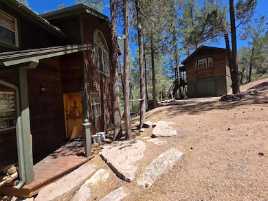 437 W Elusive Dr, Payson, AZ 85541 - photo 2