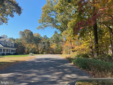 28195 Blueberry Ave, Dagsboro, DE 19939 - photo 3