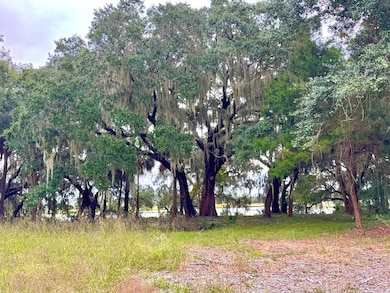 38 Net Weavers Place, Saint Helena Island, SC 29920 - photo 3