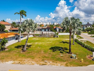 10337 Vanderbilt Dr, Naples, FL 34108 - photo 3