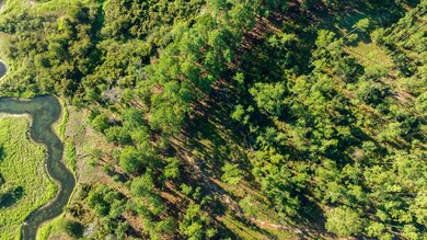 Fm 3173, Westwood, TX 75951 - photo 4